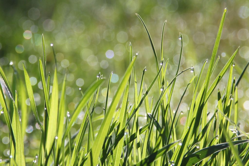 How To Make Your Own Household Cleaning Products