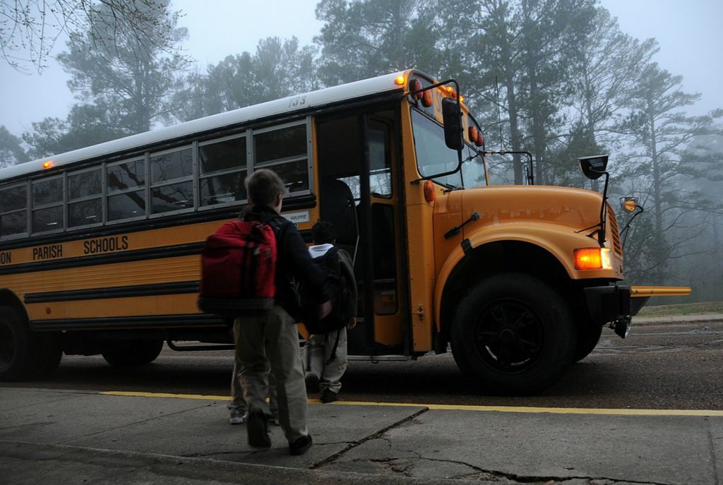 Are Buses Safer or More Dangerous Than Cars?